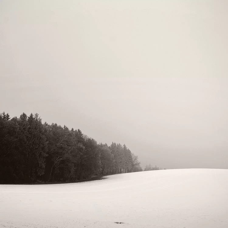 Snowy Hillscape by Lena Weisbek wall art