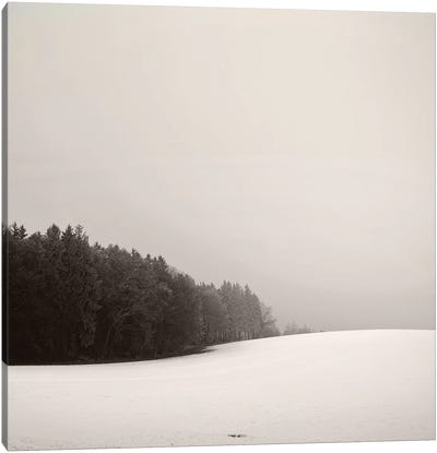 Snowy Hillscape Canvas Art Print - Lena Weisbek
