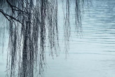 Zen by The Lake by Lena Weisbek framed canvas print