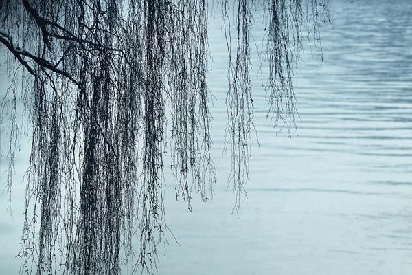 Lena Weisbek: Zen by The Lake by Lena Weisbek