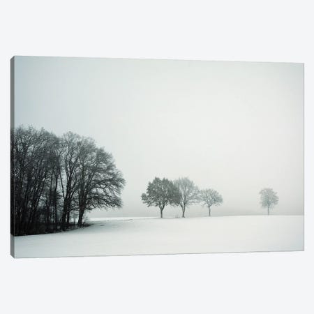 Calm Winter Day Canvas Print #LEW79} by Lena Weisbek Canvas Art