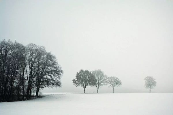 Lena Weisbek: Calm Winter Day by Lena Weisbek