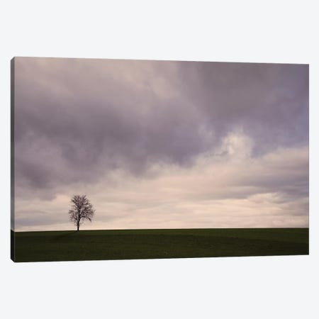 Lonely Tree Canvas Print #LEW80} by Lena Weisbek Canvas Art Print