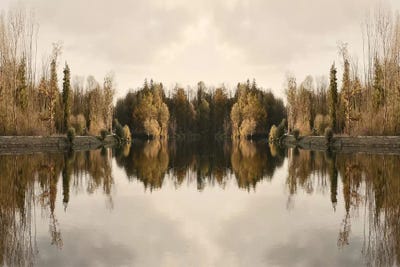 Athother World by Lena Weisbek framed canvas print