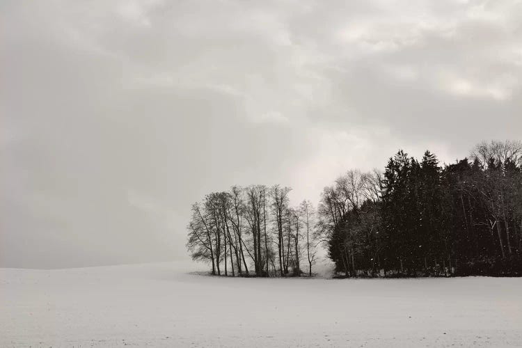 Sleepy Winter Landscape