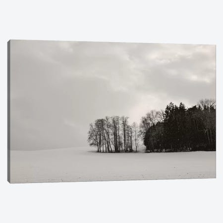 Sleepy Winter Landscape Canvas Print #LEW93} by Lena Weisbek Canvas Art