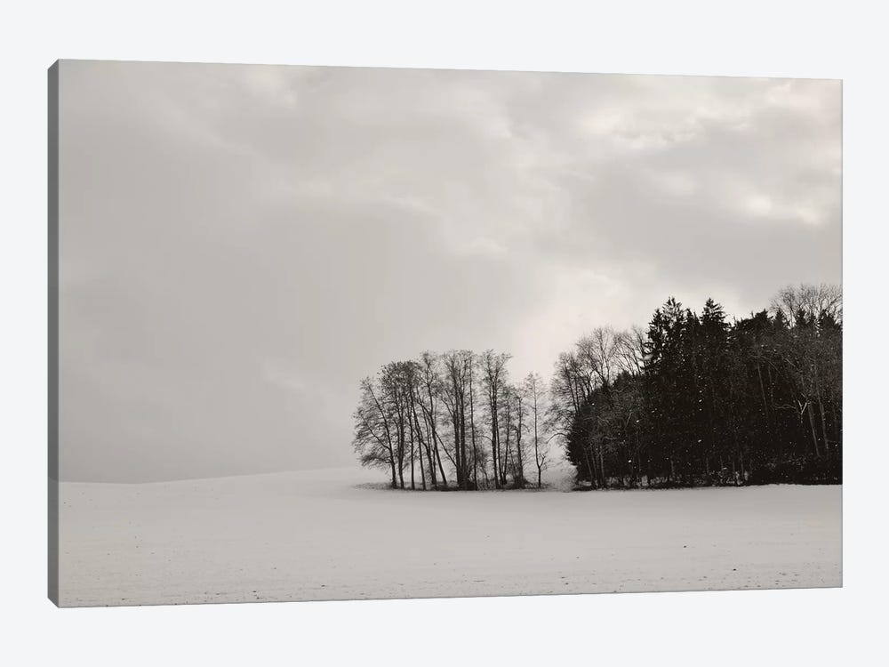Sleepy Winter Landscape by Lena Weisbek 1-piece Canvas Artwork