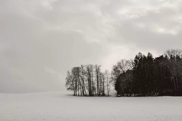 Lena Weisbek: Sleepy Winter Landscape by Lena Weisbek