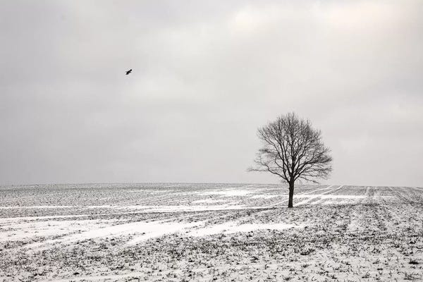 Lena Weisbek: Loneliness by Lena Weisbek