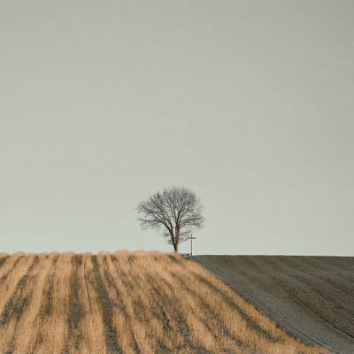 On The Way Cross by Lena Weisbek framed canvas print