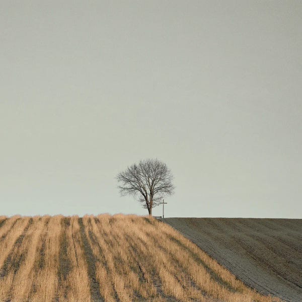 Lena Weisbek: On The Way Cross by Lena Weisbek