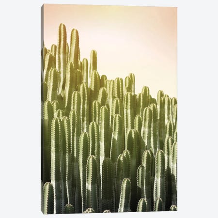 Pink Sky Cactus Canvas Print #LEX12} by Lexie Greer Art Print