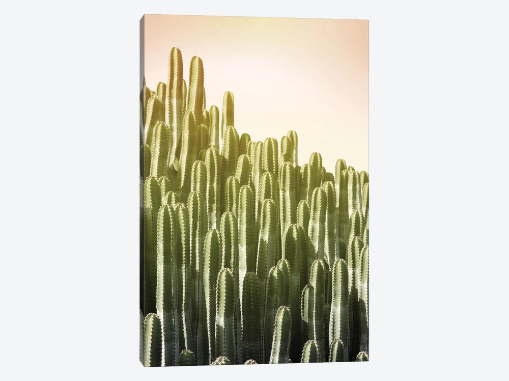 Pink Sky Cactus by Lexie Greer 1-piece Art Print