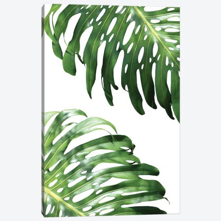 Double Philodendron Canvas Print #LEX2} by Lexie Greer Canvas Art Print