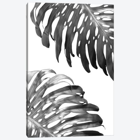 Double Philodendron In B&W Canvas Print #LEX3} by Lexie Greer Canvas Art Print