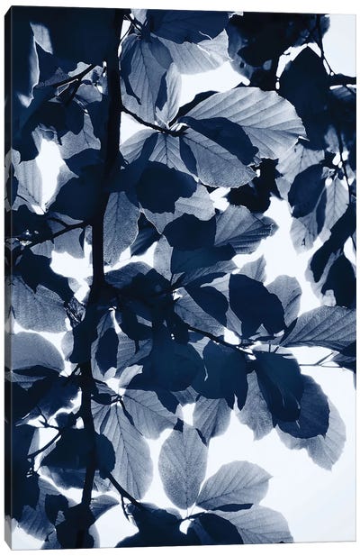 Indigo Leaves Canvas Art Print - Indigo & White 