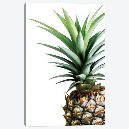 Pineapple Canvas Print #LEX8} by Lexie Greer Canvas Art Print