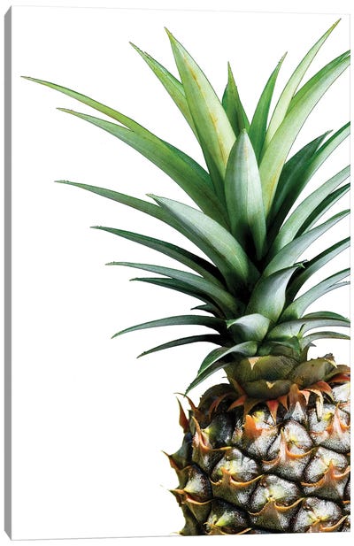 Pineapple Canvas Art Print - Beach Vibes