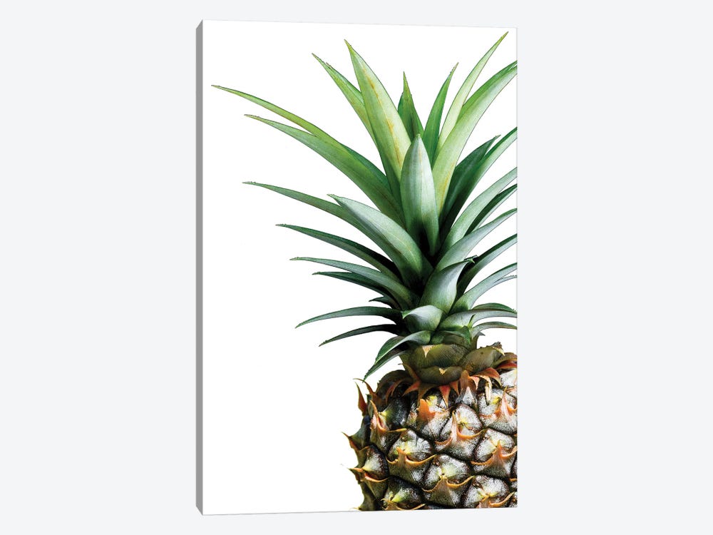Pineapple by Lexie Greer 1-piece Canvas Art