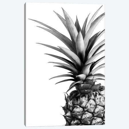 Pineapple In B&W Canvas Print #LEX9} by Lexie Greer Canvas Art Print