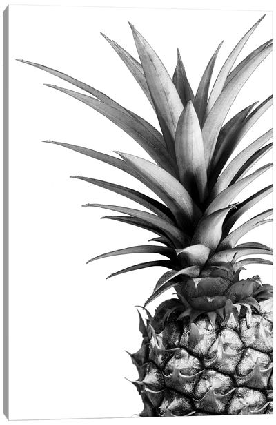 Pineapple In B&W Canvas Art Print - Minimalist Kitchen Art