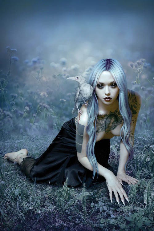 The Plight Of The White Raven