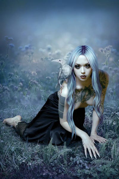 Goth Art: The Plight Of The White Raven by Lori Earley