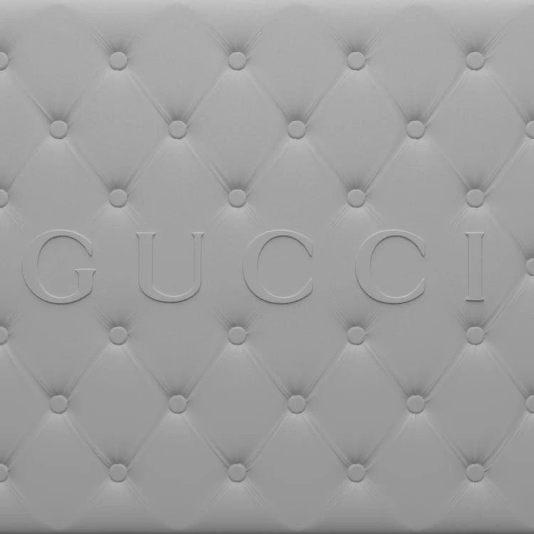 Gucci Panel