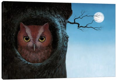 Owl Canvas Art Print - Lisa Falkenstern