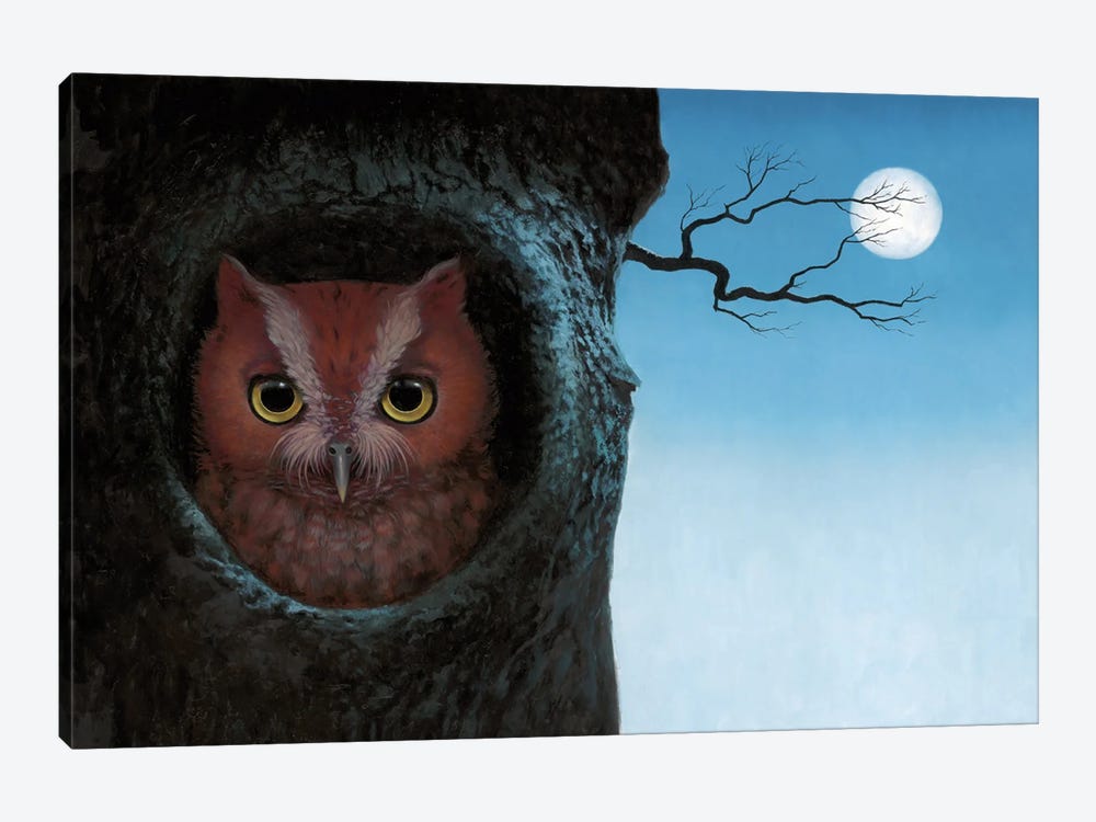 Owl by Lisa Falkenstern 1-piece Canvas Print