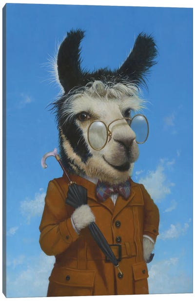 The Professor Canvas Art Print - Llama & Alpaca Art