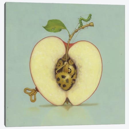 Apple Canvas Print #LFK5} by Lisa Falkenstern Art Print