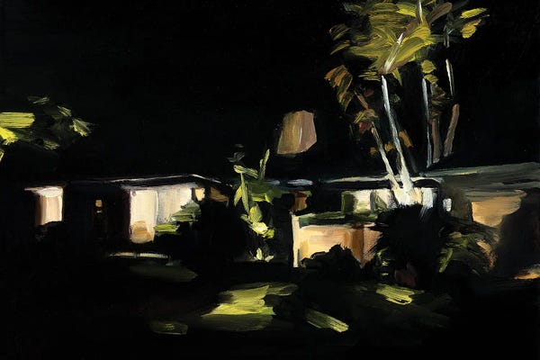 Home Theater: Miami Nocturne by Liz Frankland