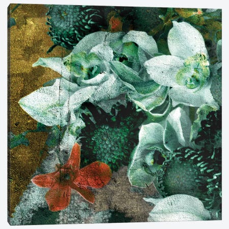 Blossom I Canvas Print #LFR100} by Linnea Frank Canvas Art Print