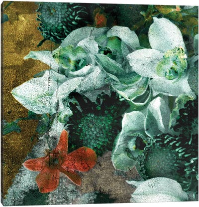 Blossom I Canvas Art Print - Linnea Frank