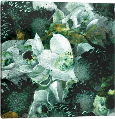 Blossom III Canvas Art Print - Linnea Frank
