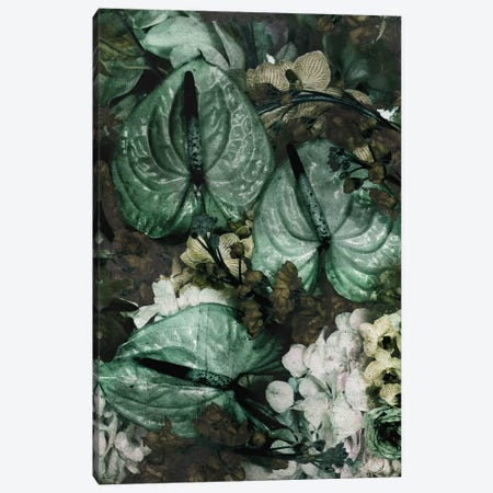 Fleur Trois Canvas Print #LFR108} by Linnea Frank Canvas Art Print