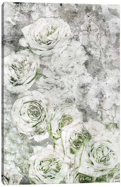 La Rose Blanche Canvas Art Print - Linnea Frank