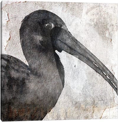 Birdy Canvas Art Print - Linnea Frank