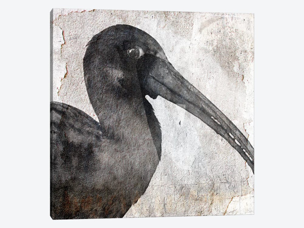 Birdy by Linnea Frank 1-piece Art Print