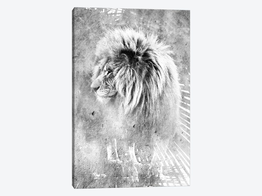 Mufasa Black And White by Linnea Frank 1-piece Canvas Wall Art