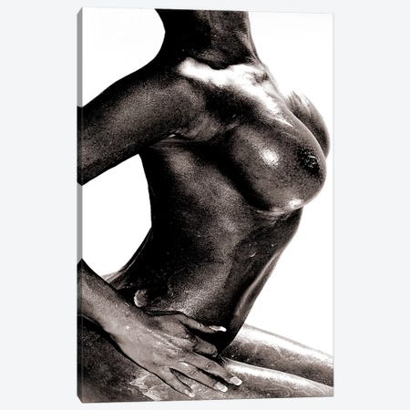 Breast Canvas Print #LFR15} by Linnea Frank Canvas Wall Art