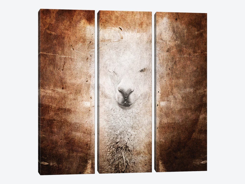 Llama by Linnea Frank 3-piece Canvas Wall Art