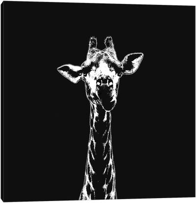 Mammal Canvas Art Print - Black & Dark Art