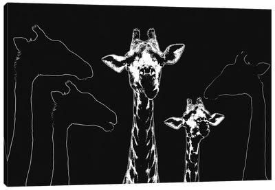 Mammals Canvas Art Print - Giraffe Art