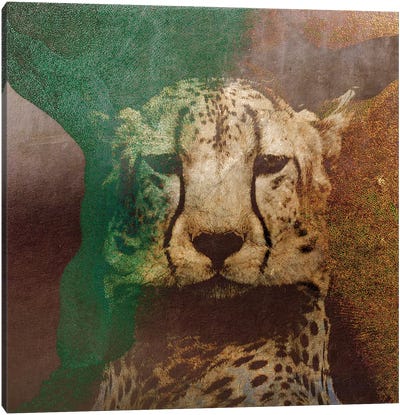 Mr Ford Canvas Art Print - Cheetah Art