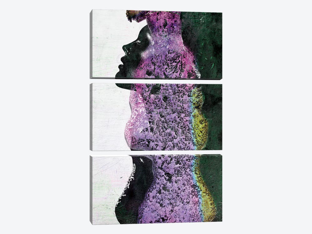 Sonos by Linnea Frank 3-piece Canvas Art Print