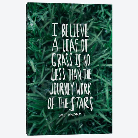 Leaf Of Grass Canvas Print #LFS73} by Leah Flores Canvas Wall Art