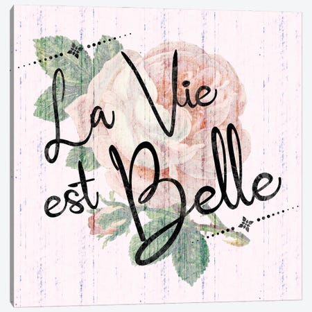 Paris Belle Canvas Print #LGB14} by Lauren Gibbons Art Print