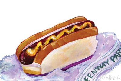 Fenway Frank by Laurel Greenfield canvas print